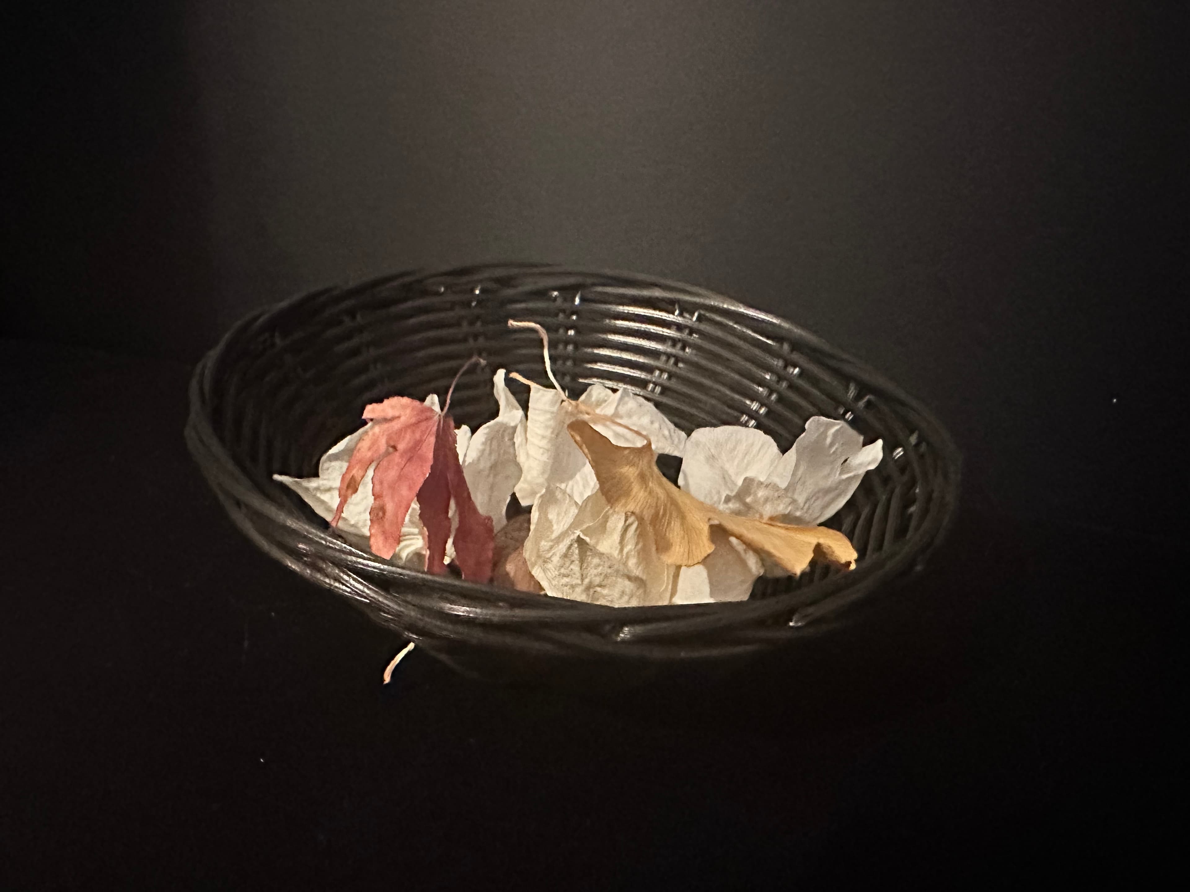 The Woven Vessel
