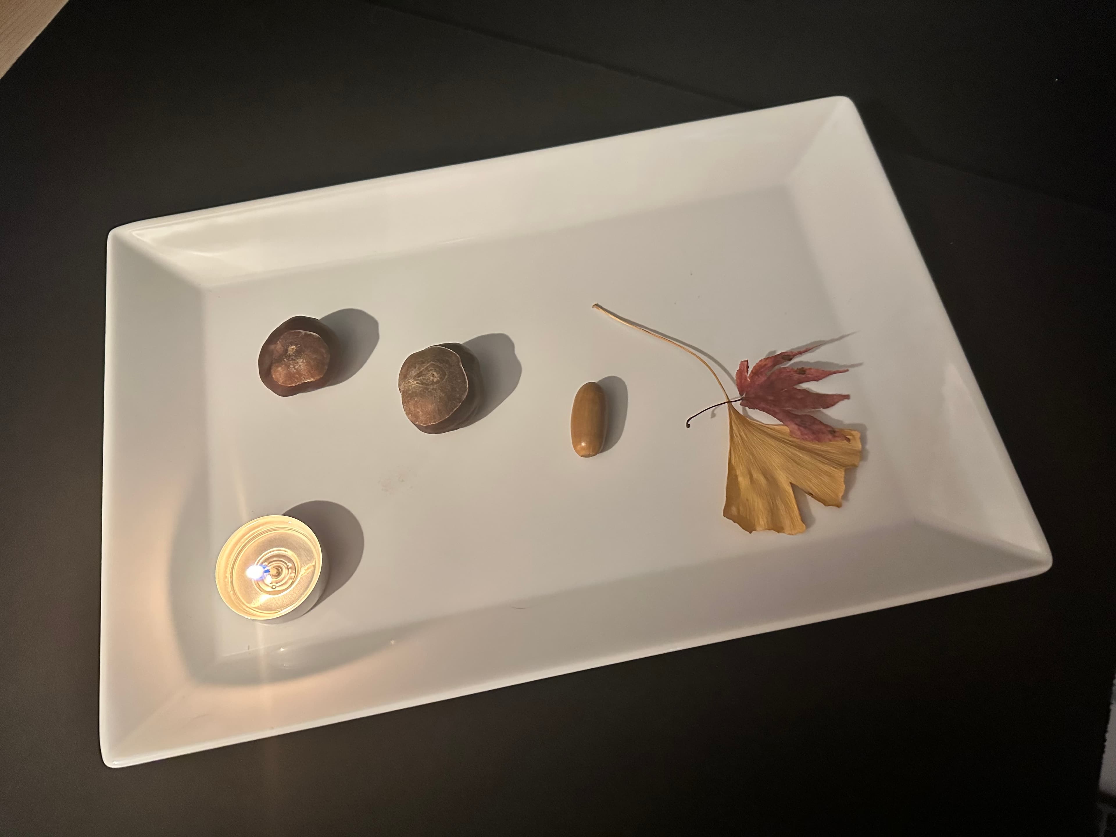 The White Tray